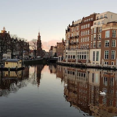Amsterdam City & Countryside Tour: The Best of both Worlds 2