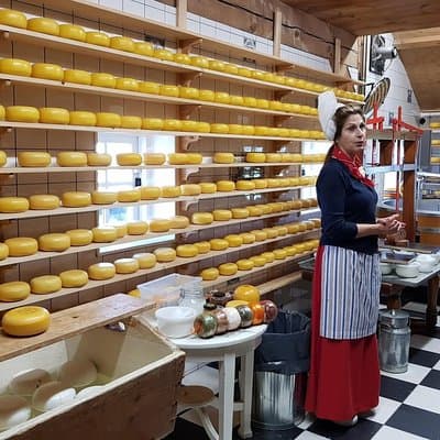 Amsterdam City & Countryside Tour: The Best of both Worlds 5