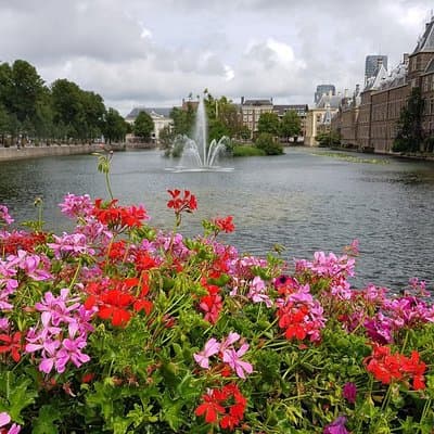 The Hague & Rotterdam: Past and Future Tour 4
