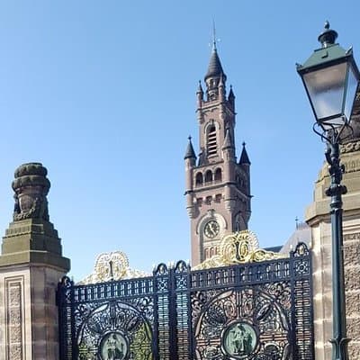 privatetour Delft, The Hague&Rotterdam Kinderdijk from Amsterdam 5