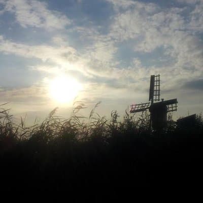 Small-Group Guided Sunset Canoe Tour in Waterland with Dinner 5