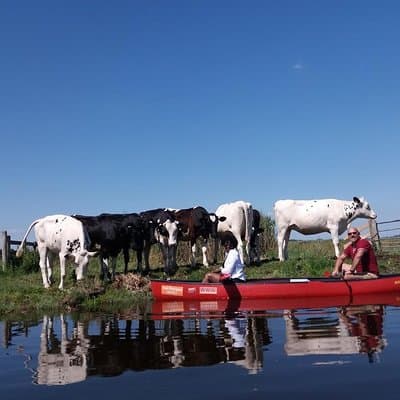 Guided Canoe Adventure with Picnic Lunch in Waterland from Amsterdam 3