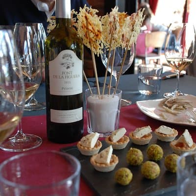 WINE TOUR PRIORAT: Visit 2 Top Wineries, Wine Tasting & Gourmet Lunch 4