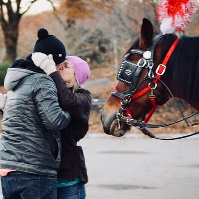 60 min surprise proposal carriage ride 4