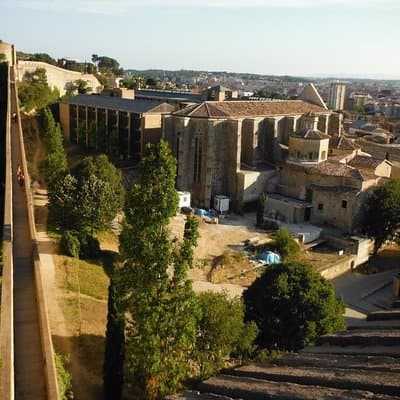 Private tour: Dali Museum and Girona from Barcelona 3