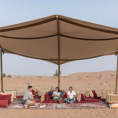 Dubai: Private Falconry Experience & Platinum Breakfast 5