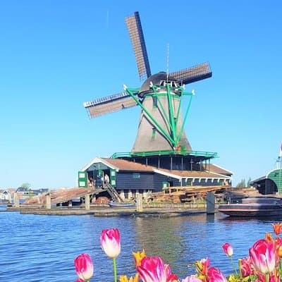 Volendam & Zaanse Schans PrivateTour: ijmuiden Felison cruiseship