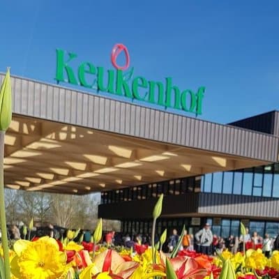 Keukenhof Skip-the-line Tickets: Countryside & Farm Private Tour 3