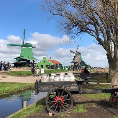 Zaanse Schans windmill tour with Italian guide 3