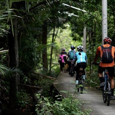 HD-06 Bang KraChao, zigzag through the lung of Bangkok by bicycle 3