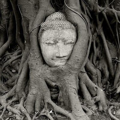 Private Tour: Fascinating Ayutthaya & Suphanburi Full Day Tour 2
