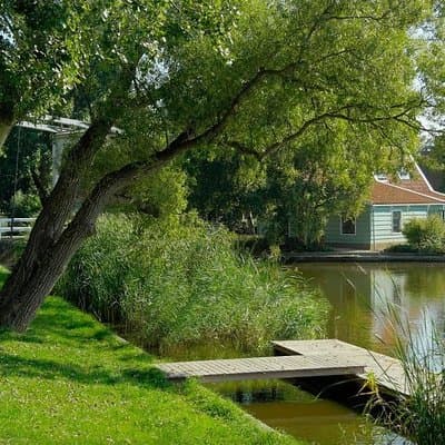 Off the beaten paths Dutch Country Side Private Tour in Jaguar 3