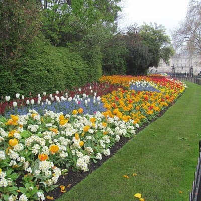 Best of London Private Day Tour 3