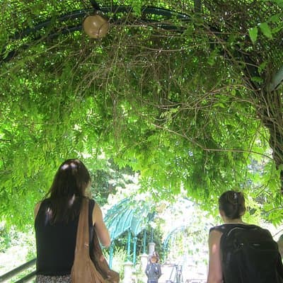 Photograph with a pro Paris off the beaten path! 5