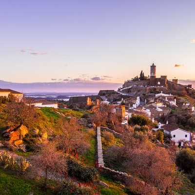 Evora and Monsaraz Private Tour From Lisbon 5