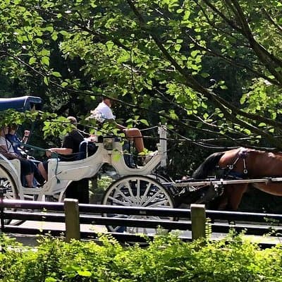 NYC Central Park Horse and Carriage Ride: Long Ride 45 min 3