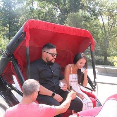 Romantic Proposal Carriage Tour in Central Park 2