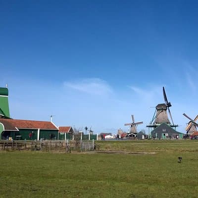 Keukenhof, Zaanse Schans Windmills Private Tour with Lunch 5