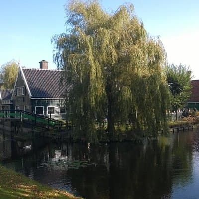 Private Guided Tour: Zaanse Schans and Zaandam from Amsterdam 3