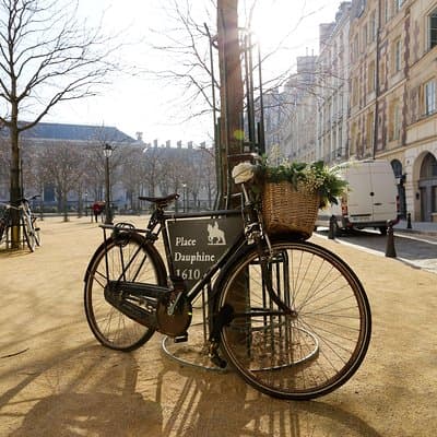 Where Paris was Born: A Self-Guided Audio Tour of Île de la Cité 3
