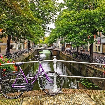 Private full-day tour of Delft and Rotterdam from Amsterdam 4