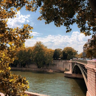 Historical Paris Walking Tour to Vibrant Food Market 2