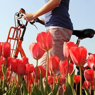 Private Guided Full-Day Customizable Tour of Holland from Amsterdam 5
