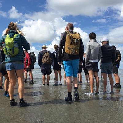 Private Guided Full-Day Customizable Tour of Holland from Amsterdam 4