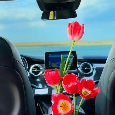 Private Tour to Windmills Zaanse Schans +Keukenhof - 7 Hours 3