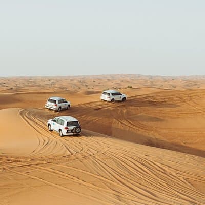 Morning Desert Safari 2