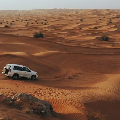 Morning Desert Safari 4