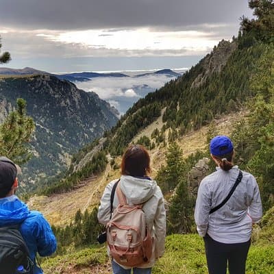 Pyrenees Mountain Train and Nature Walk