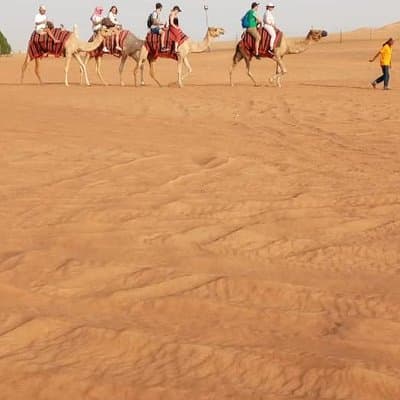 Morning Desert Safari with Sand Boarding and Dune bashing 4