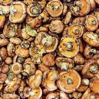 Sant Antoni Market tour with Catalan traditional breakfast 2