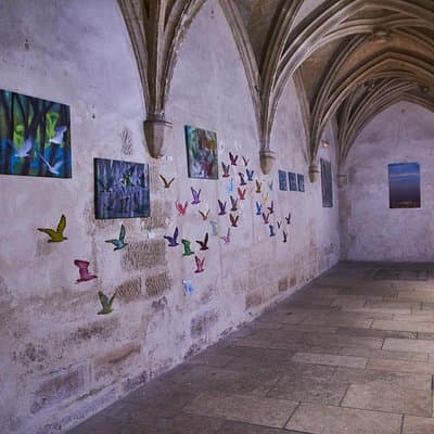Marais Private Walking Tour 5