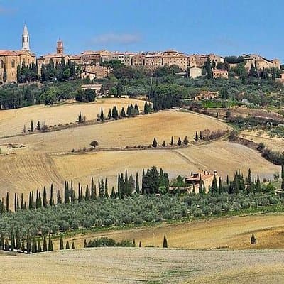 Pienza and Montepulciano by Tuscan Hills from Rome Private Tour 3