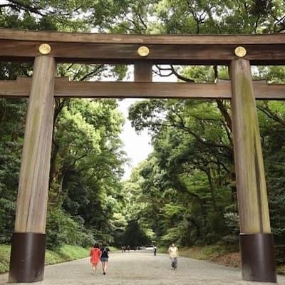 Discover your Tokyo -Private Tokyo Customized Walking Tour- 2