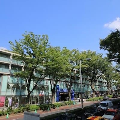 Discover your Tokyo -Private Tokyo Customized Walking Tour- 4