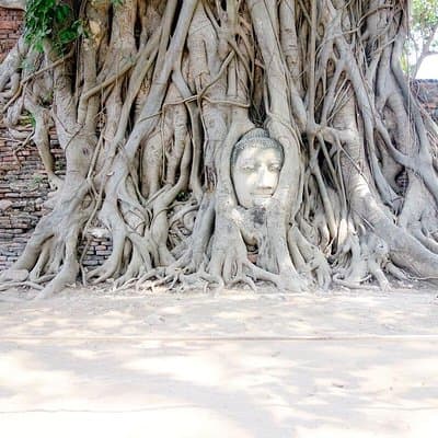 Private - AYUTTHAYA ONE DAY TOUR incl. Special River Barge Lunch 4