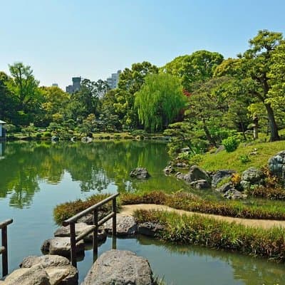 Tokyo Japanese Garden Lover's Private Tour with Government-Licensed Guide
