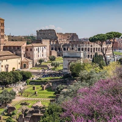 Private Rome in a Day Tour with Colosseum & Sistine Chapel: Essential Experience