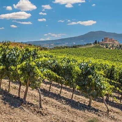 Private: Tuscany Day Tour from Rome with Optional Wine Tasting 3