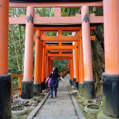 Explore Japan Tour: 12-day Small Group