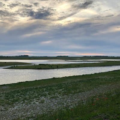 Full day tour to Texel - Friesian Islands - from Amsterdam 5