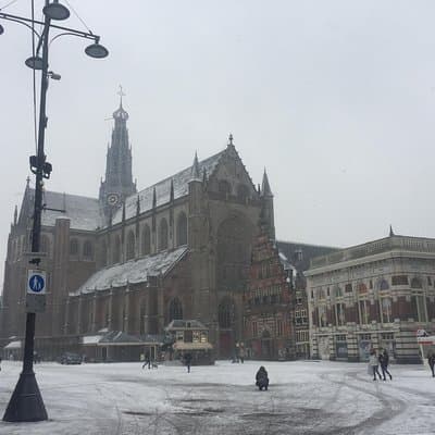 Elisabeth's Tailor made tours and services in Amsterdam and the Netherlands. 5