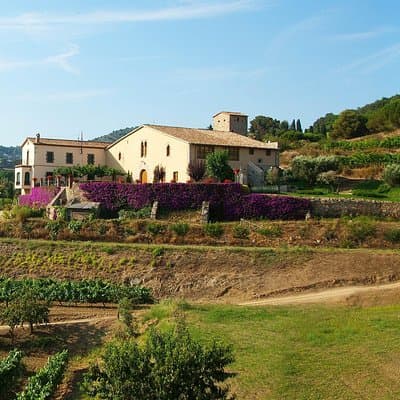 Private Breakfast Winery Experience - Private Wine Tasting Tour