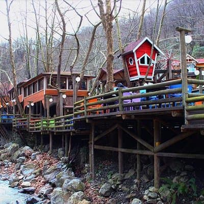 Sapanca and Zoo Private Tour From Istanbul - VIP Minivan - Best Quality