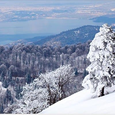 Sapanca and Zoo Private Tour From Istanbul - VIP Minivan - Best Quality 3
