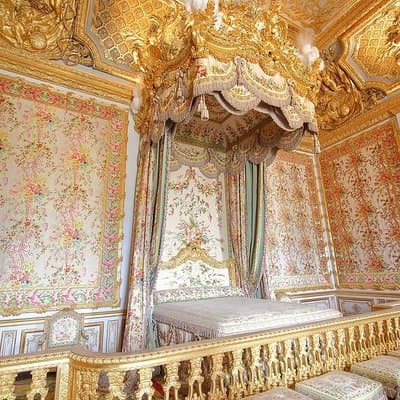 Chateau de Versailles & Gardens. VIP private tour with guide + driver 3