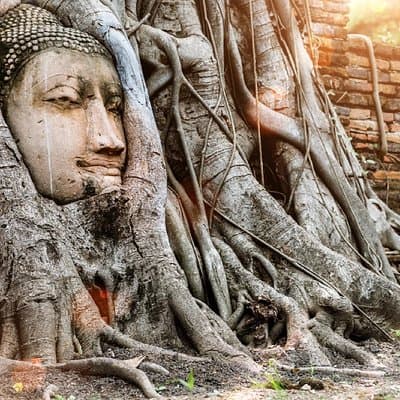 Bangkok Full Day Ayutthaya landmark Guided Tour 3